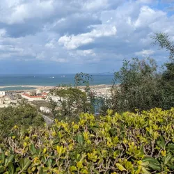 Cultural Festivals and Events - Ain Oulmane