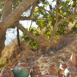 Local Hospitality and Guesthouses - Ain Oulmane