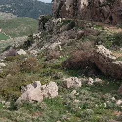 Nature Walks and Bird Watching - Ain Oulmane