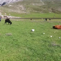 Nature Walks and Bird Watching - Ain Oulmane