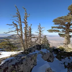 Surrounding Natural Landscapes - Ain Oulmane