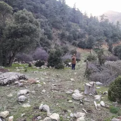 Surrounding Natural Landscapes - Ain Oulmane
