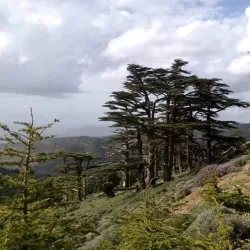 Surrounding Natural Landscapes - Ain Oulmane