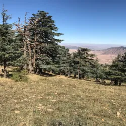 Surrounding Natural Landscapes - Ain Oulmane