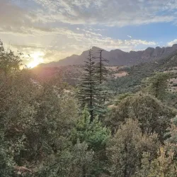 Surrounding Natural Landscapes - Ain Oulmane