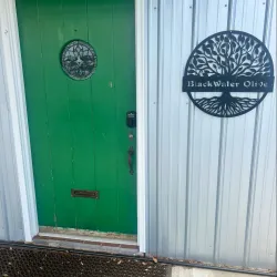 Local Olive Groves - Ain Temouchent