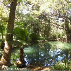 Jardin d'Essai du Hamma - Algiers
