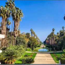 Jardin d'Essai du Hamma - Algiers
