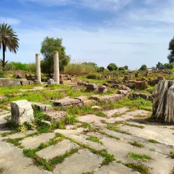 Hippo Regius Archaeological Site - Annaba