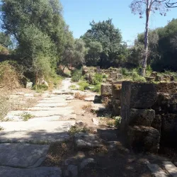 Hippo Regius Archaeological Site - Annaba