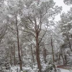 Aurès Mountains - Batna