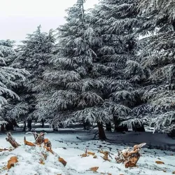 Aurès Mountains - Batna