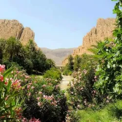 El Kantara Gorge - Batna