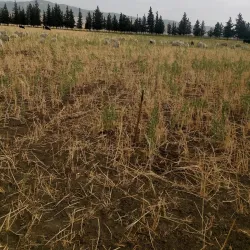 Ksar of Batna - Batna