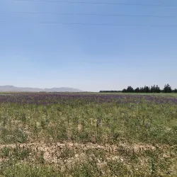 Ksar of Batna - Batna