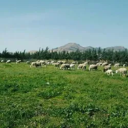 Ksar of Batna - Batna