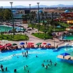 Biskra Palm Festival - Biskra