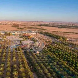 Biskra Palm Festival - Biskra