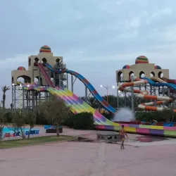 Biskra Palm Festival - Biskra