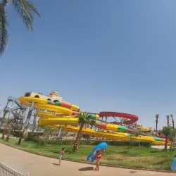 Biskra Palm Festival - Biskra