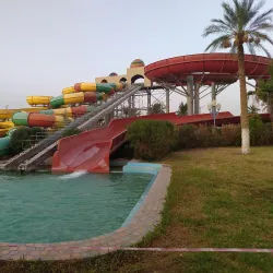 Biskra Palm Festival - Biskra