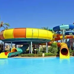 Biskra Palm Festival - Biskra