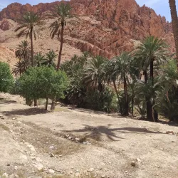 El Kantara Gorge - Biskra