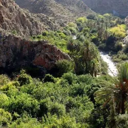 Mount Aurès - Biskra