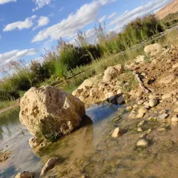 Oued Biskra - Biskra