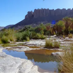 Sahara Desert Excursions - Biskra