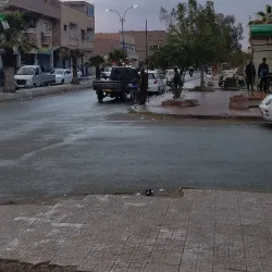 Tolga Palm Groves - Biskra