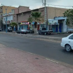 Tolga Palm Groves - Biskra