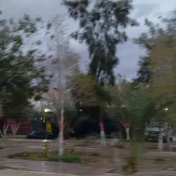 Tolga Palm Groves - Biskra