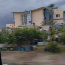 Tolga Palm Groves - Biskra