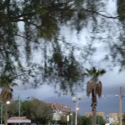 Tolga Palm Groves - Biskra