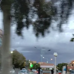 Tolga Palm Groves - Biskra