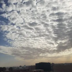 Tolga Palm Groves - Biskra