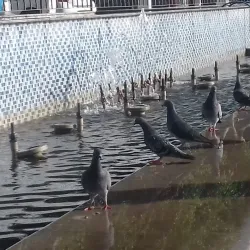 Blida Municipal Museum - Blida