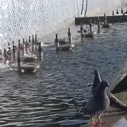 Blida Municipal Museum - Blida