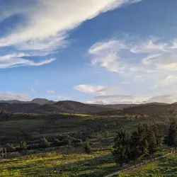 Blida Old Town - Blida