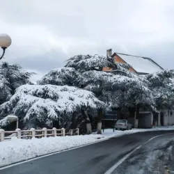 Blida Old Town - Blida