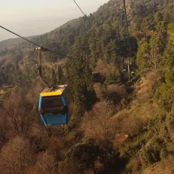 Chréa National Park - Blida