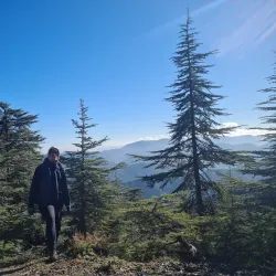 Chréa National Park - Blida