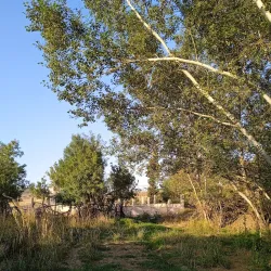 Bordj Bou Arreridj Museum - Bordj Bou Arreridj