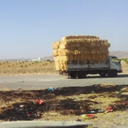 Bordj Bou Arreridj Museum - Bordj Bou Arreridj