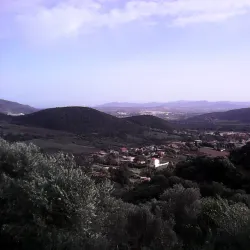 Souk El Had Market - Bordj Bou Arreridj