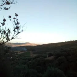 Souk El Had Market - Bordj Bou Arreridj