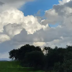 Souk El Had Market - Bordj Bou Arreridj