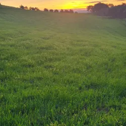 Souk El Had Market - Bordj Bou Arreridj