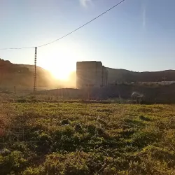 Souk El Had Market - Bordj Bou Arreridj